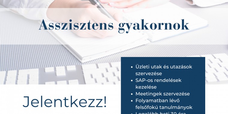 Asszisztens gyakornok - S.E.G.A. Hungary