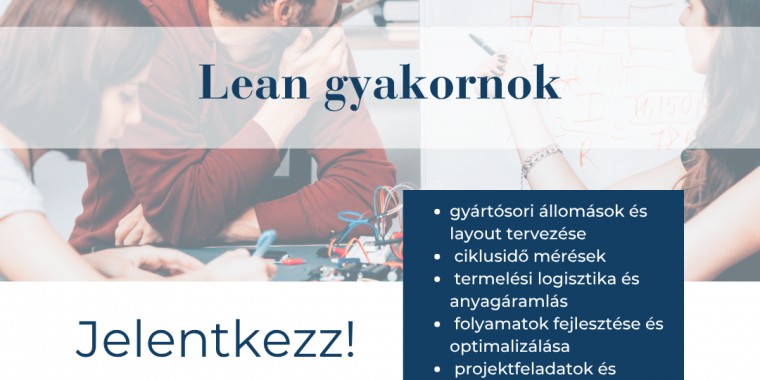 Lean gyakornok -  Wellis 